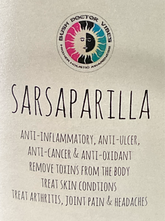 Sarsaparilla