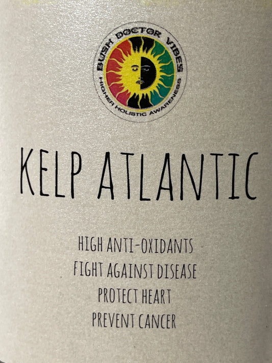 Kelp Atlantic